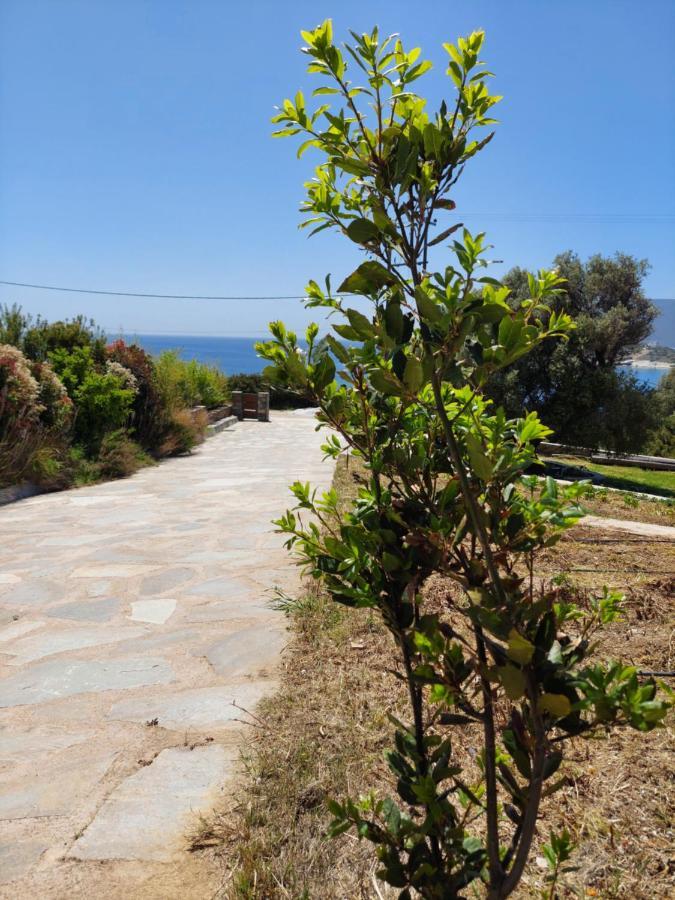 Marmari  Skinammos Eco Villas מראה חיצוני תמונה